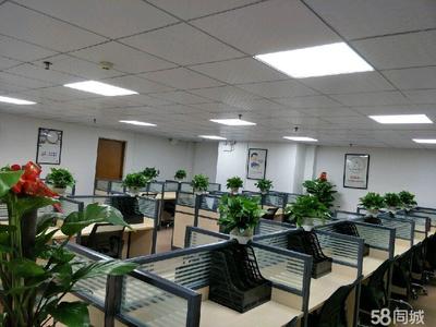 茂名市天弘商務信息咨詢