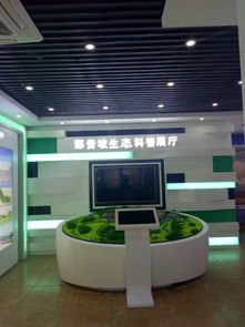 廣西可靠的家居軟裝飾 柳州軟裝裝飾